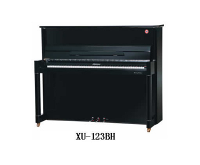 星海系列XU-123BH