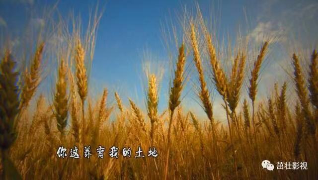 《五彩大地》MV