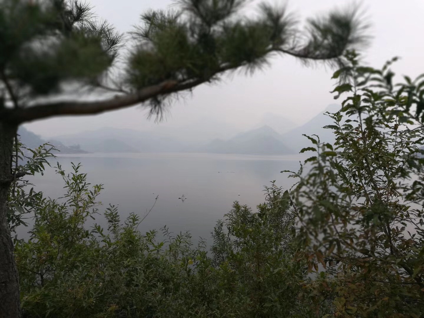 《江山多嬌》微電影拍攝