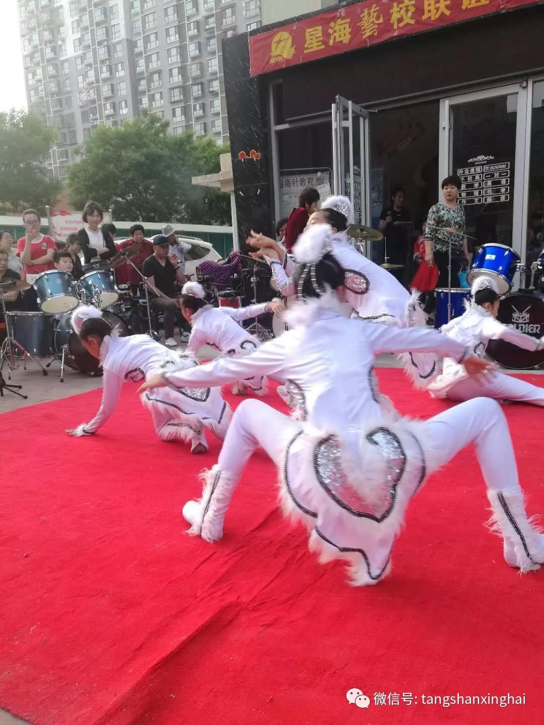 星海唐山藝術(shù)培訓機構南湖音樂(lè )會(huì )