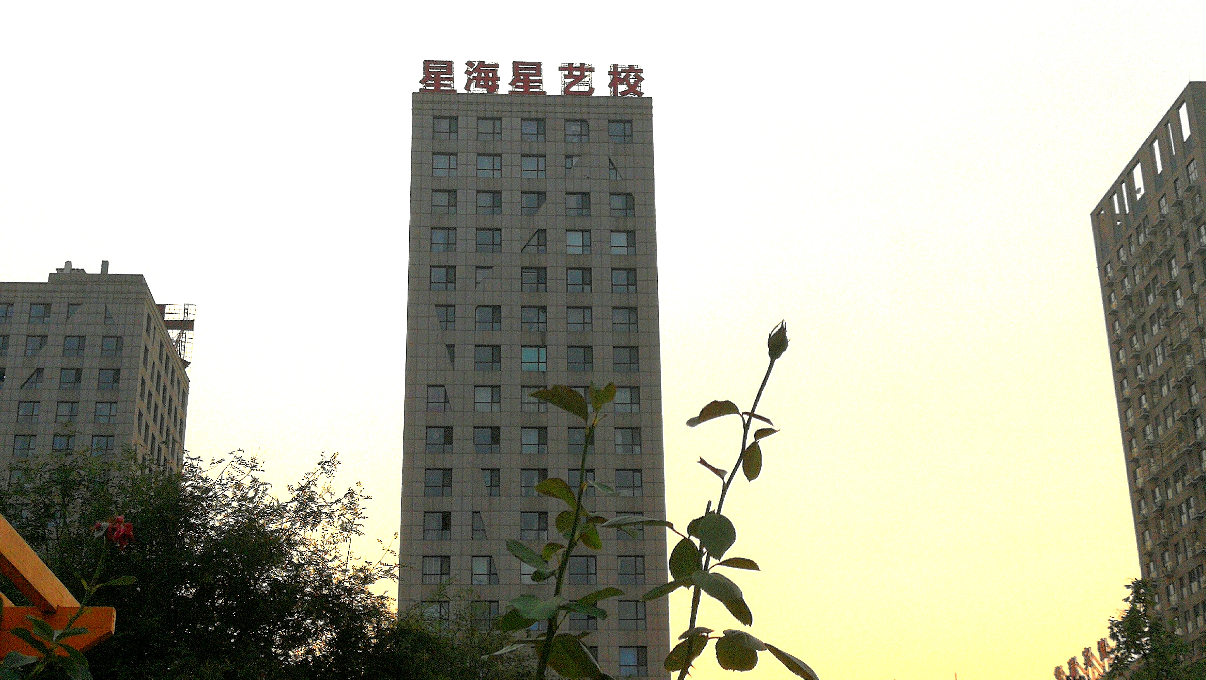 大陸陽(yáng)光校區