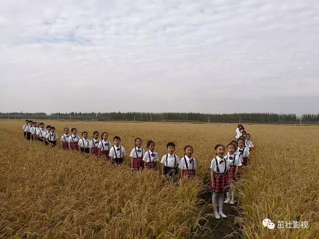 唐山演藝傳媒公司